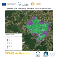 CEMS Activation: Forest fuel mapping and fire hazard in France